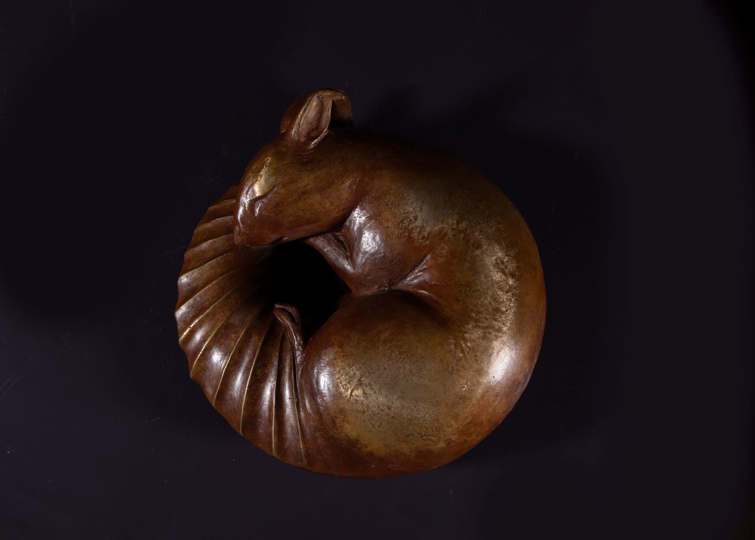 Illona Morrice, Squirrel, 2025