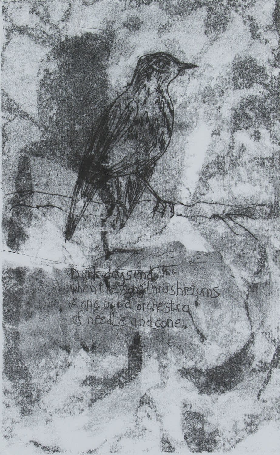 Helen Denerley, Songthrush, 2023