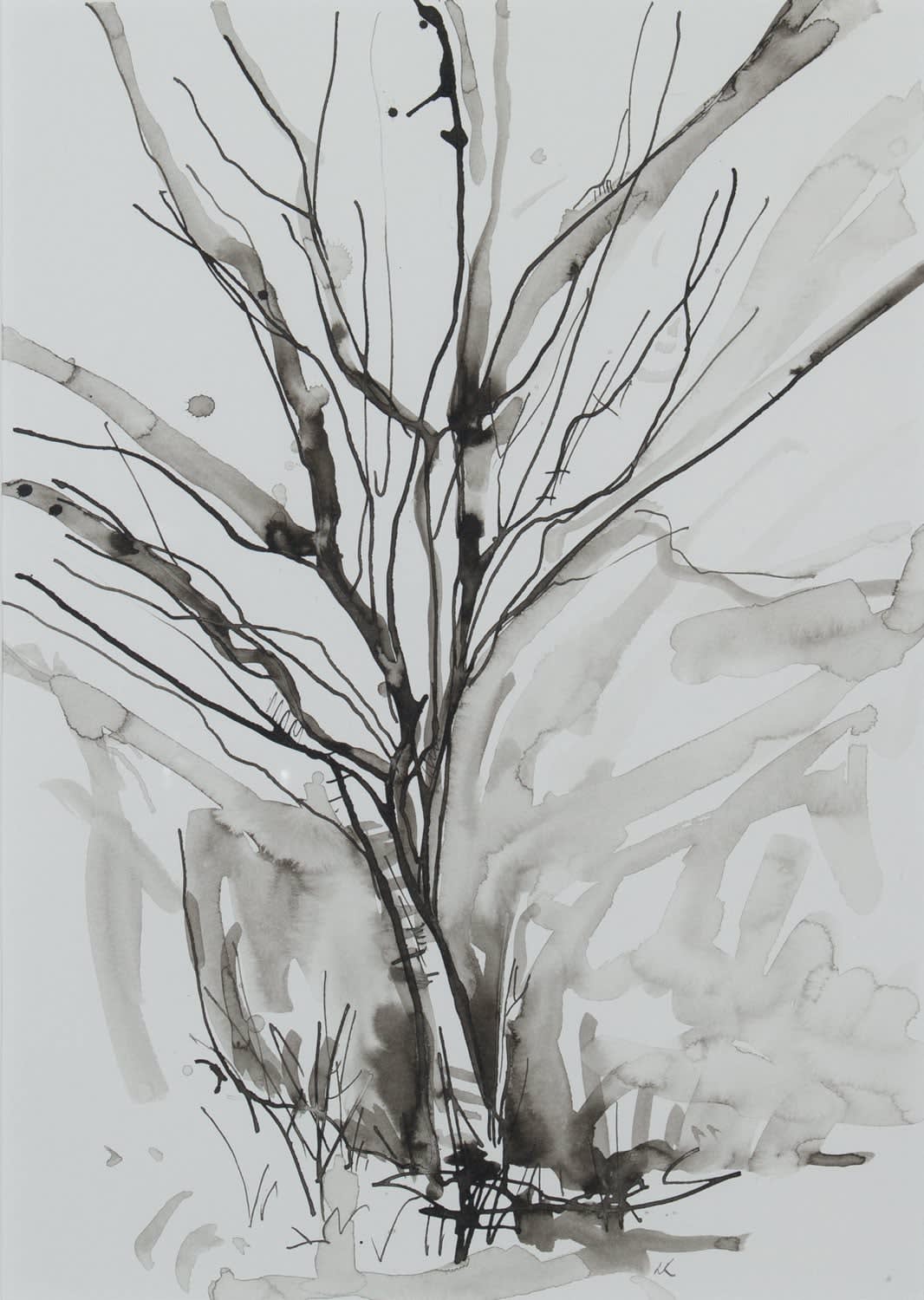 Lizzie Rose, Tree Drawing ii, 2022