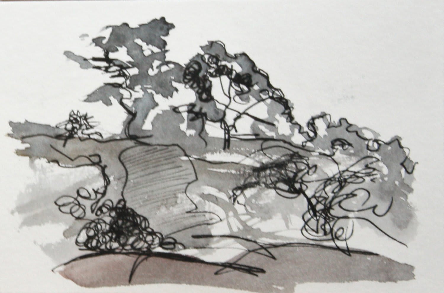 Madeline MacKay, postcard drawing 4, 2013