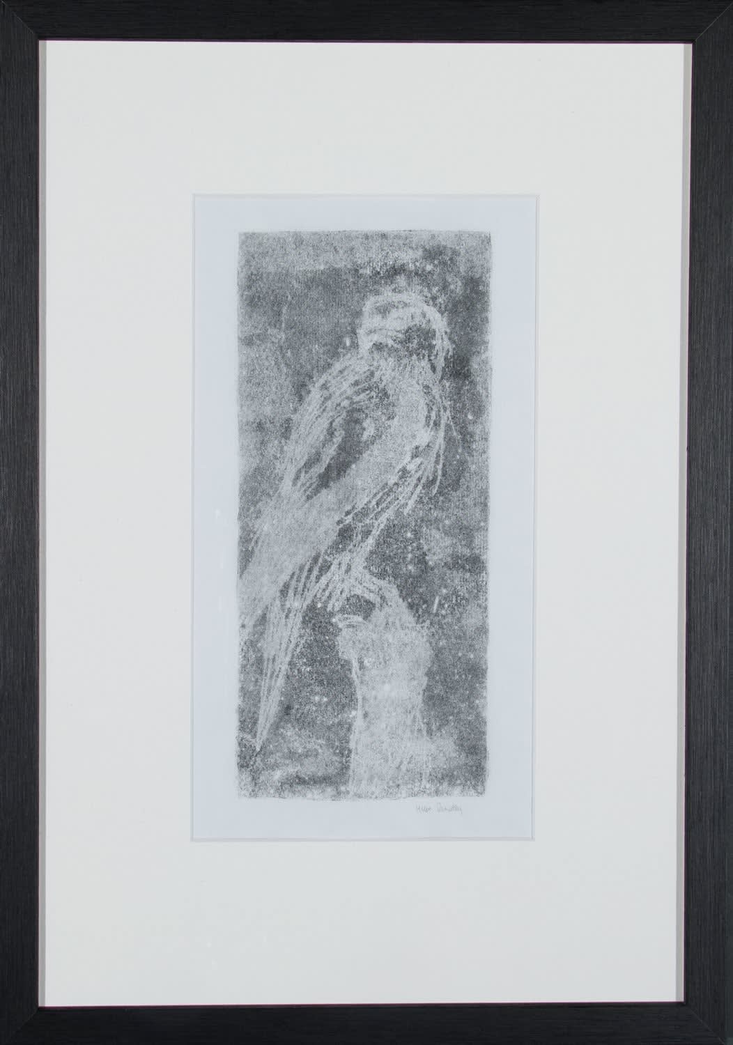 Helen Denerley, Ghost Kestrel, 2023