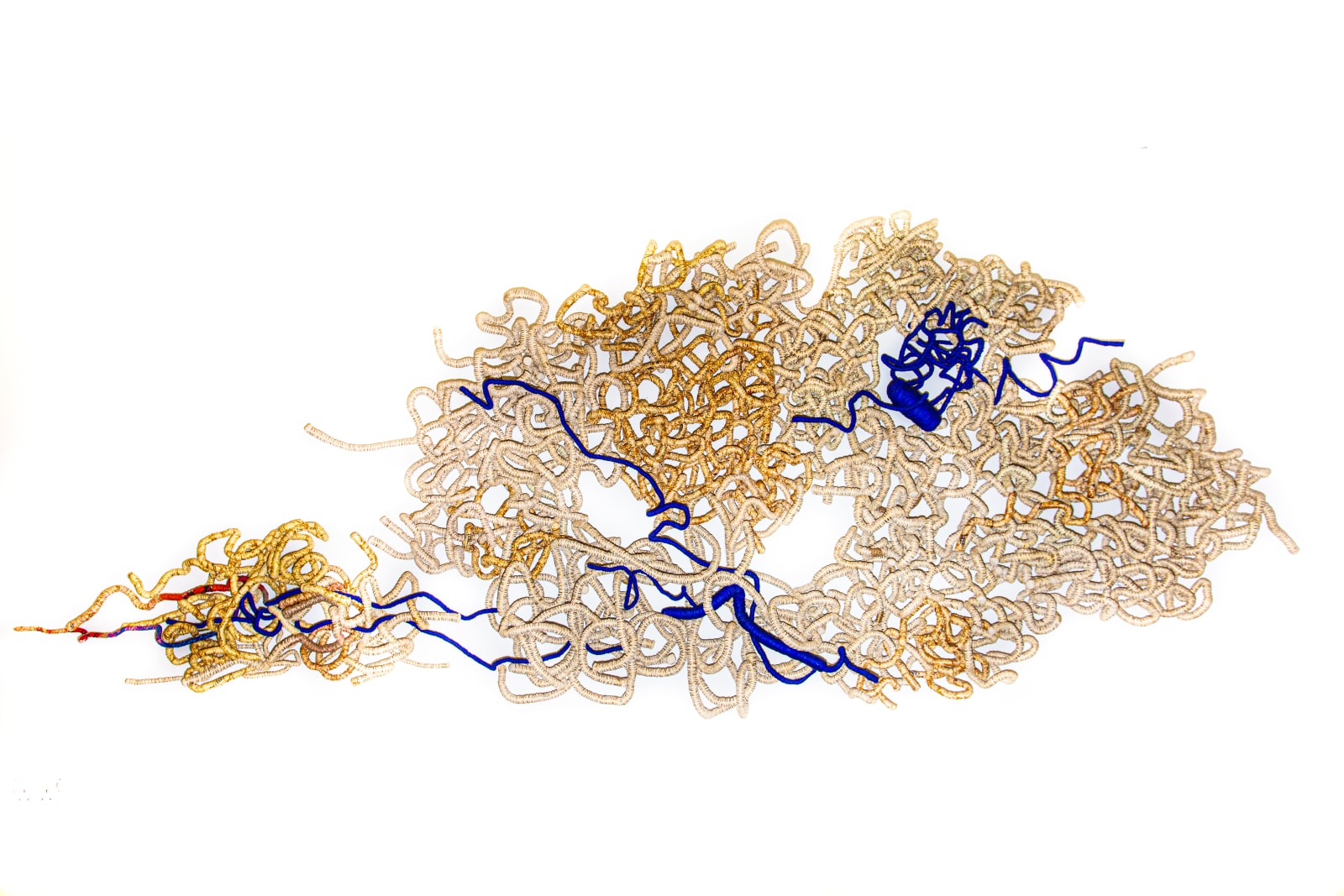 Eva Obodo, Amoebae on the Run , 2019