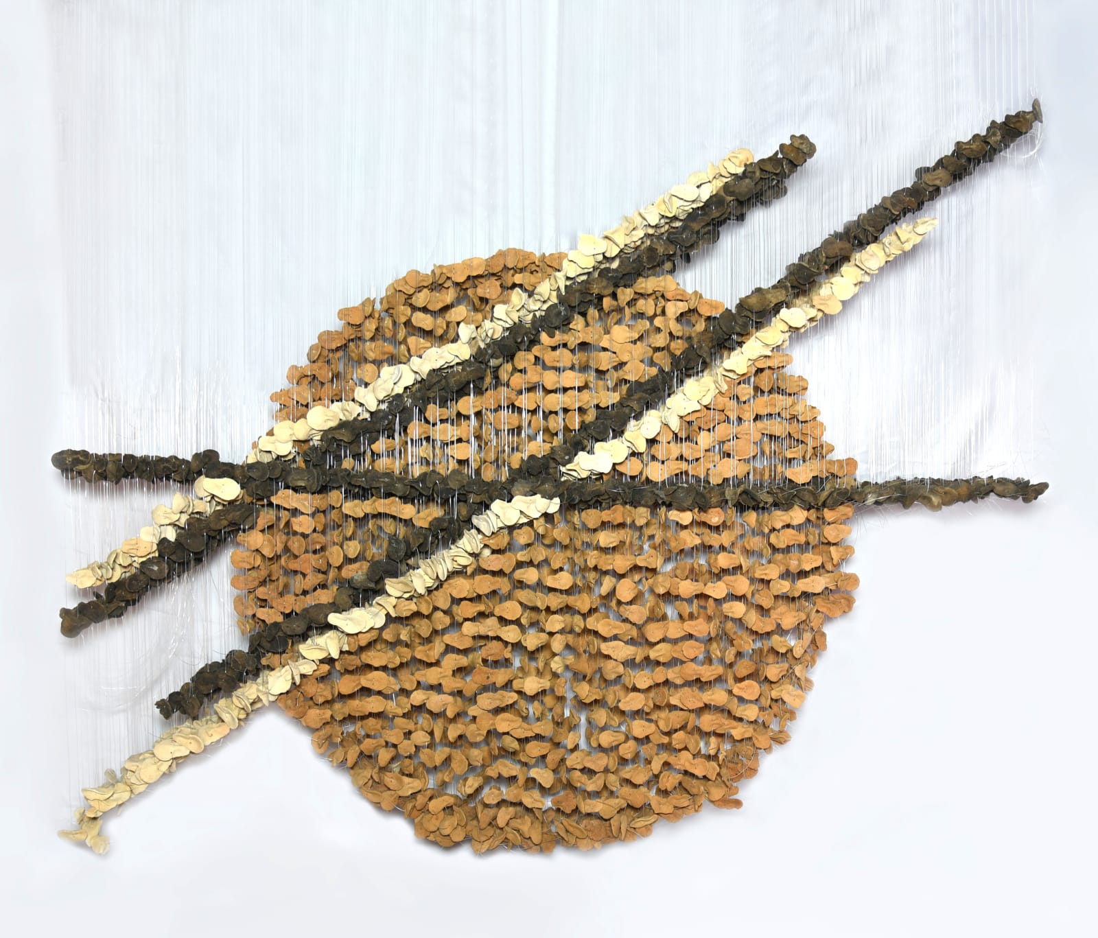 Ngozi-Omeje Ezema, Ngi ji Ji, Jide Nma, 2024