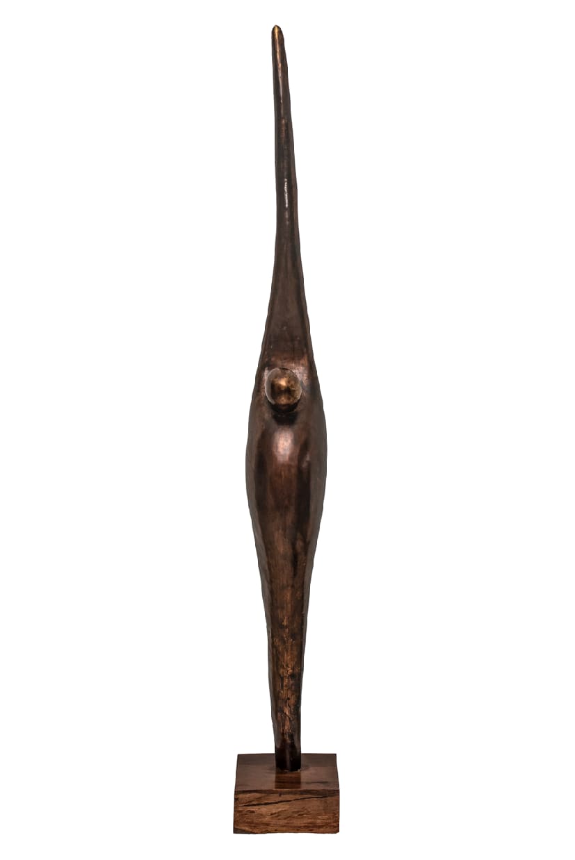 Bunmi Babatunde, First Born, 2010