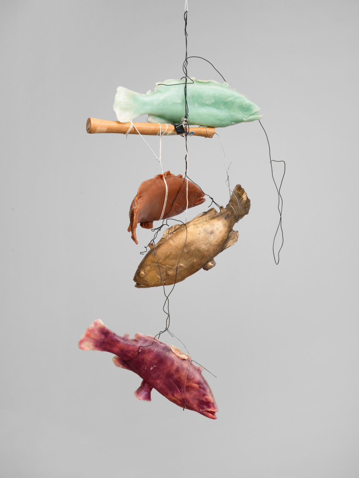 Bruce Nauman, 3 wax fish, bronze fish, hammer handle, 2024