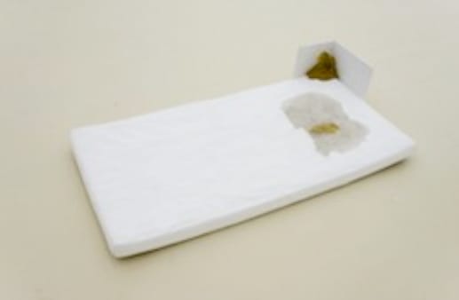 Gregor Schneider, PARADIES, 2000