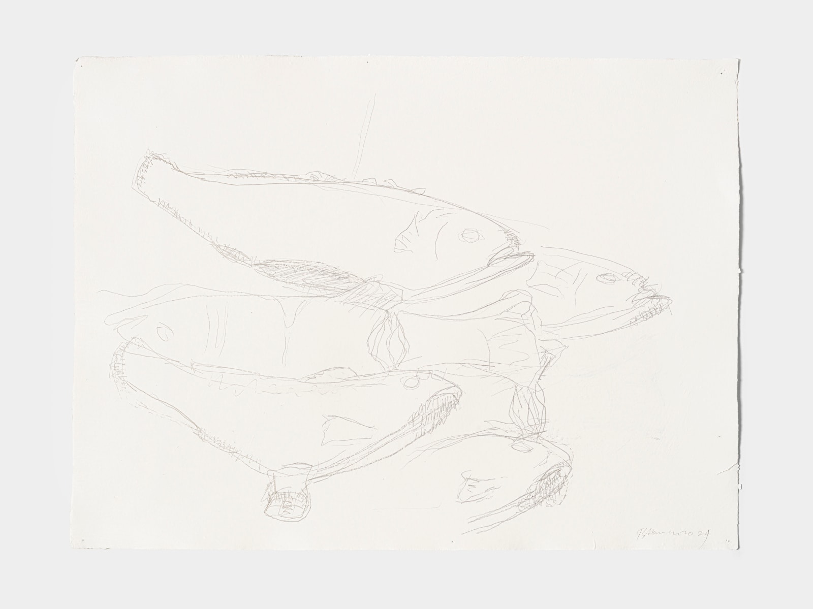 Bruce Nauman, Untitled [4 fish], 2024