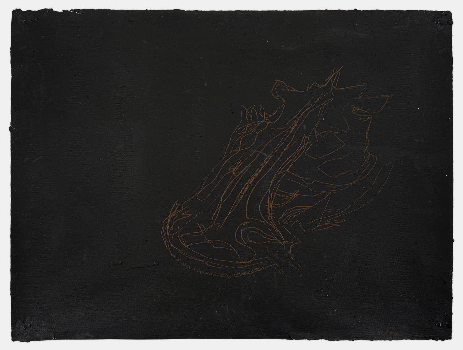 Bruce Nauman, Untitled (Catfish skull on black), 2025