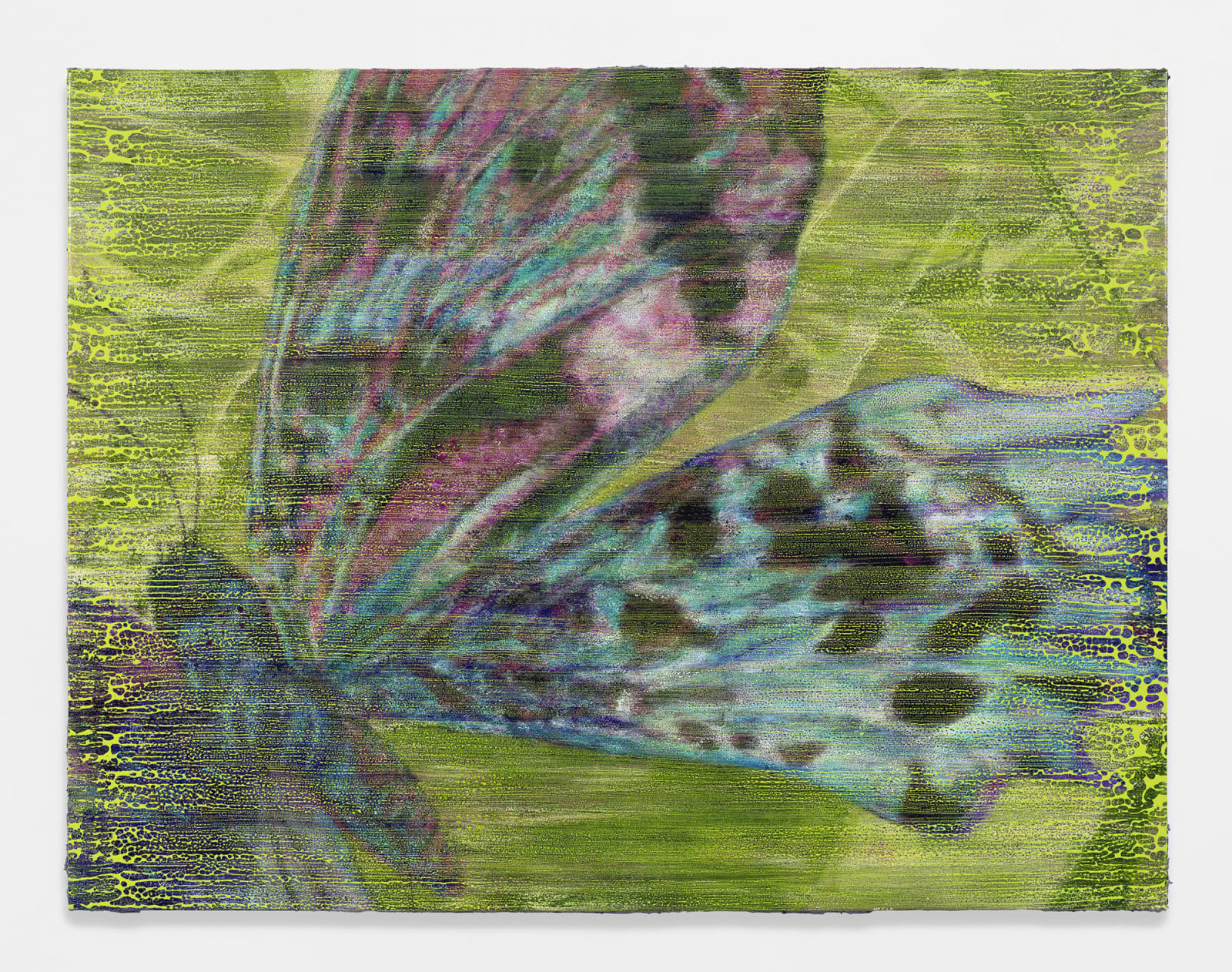 Brett Ginsburg, Osculant, 2023