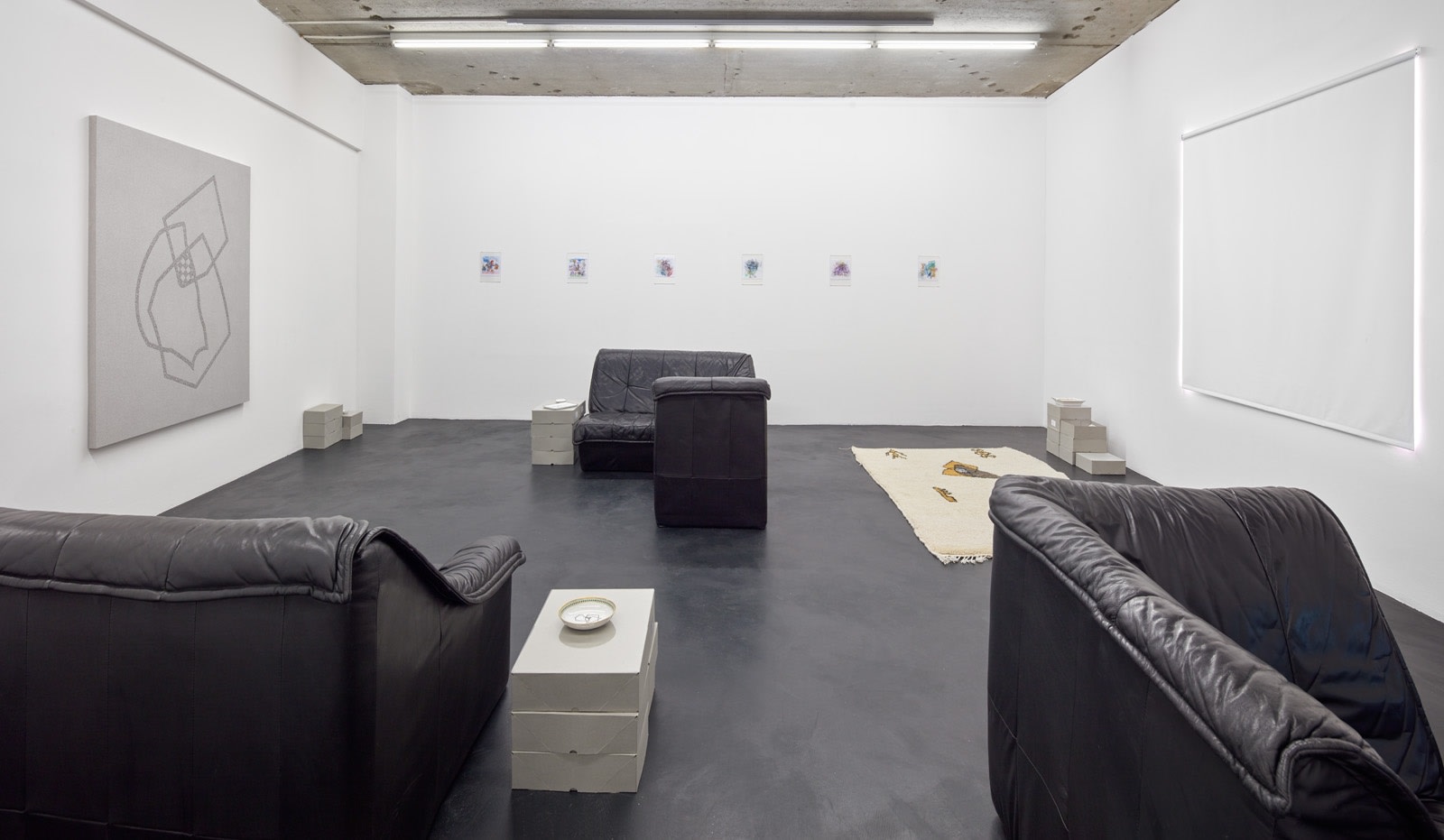 Adriana Lara, The Interesting Theory Club, 2016