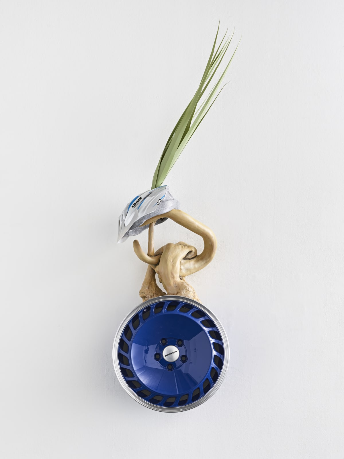 Guan Xiao, Cockatoo, 2017