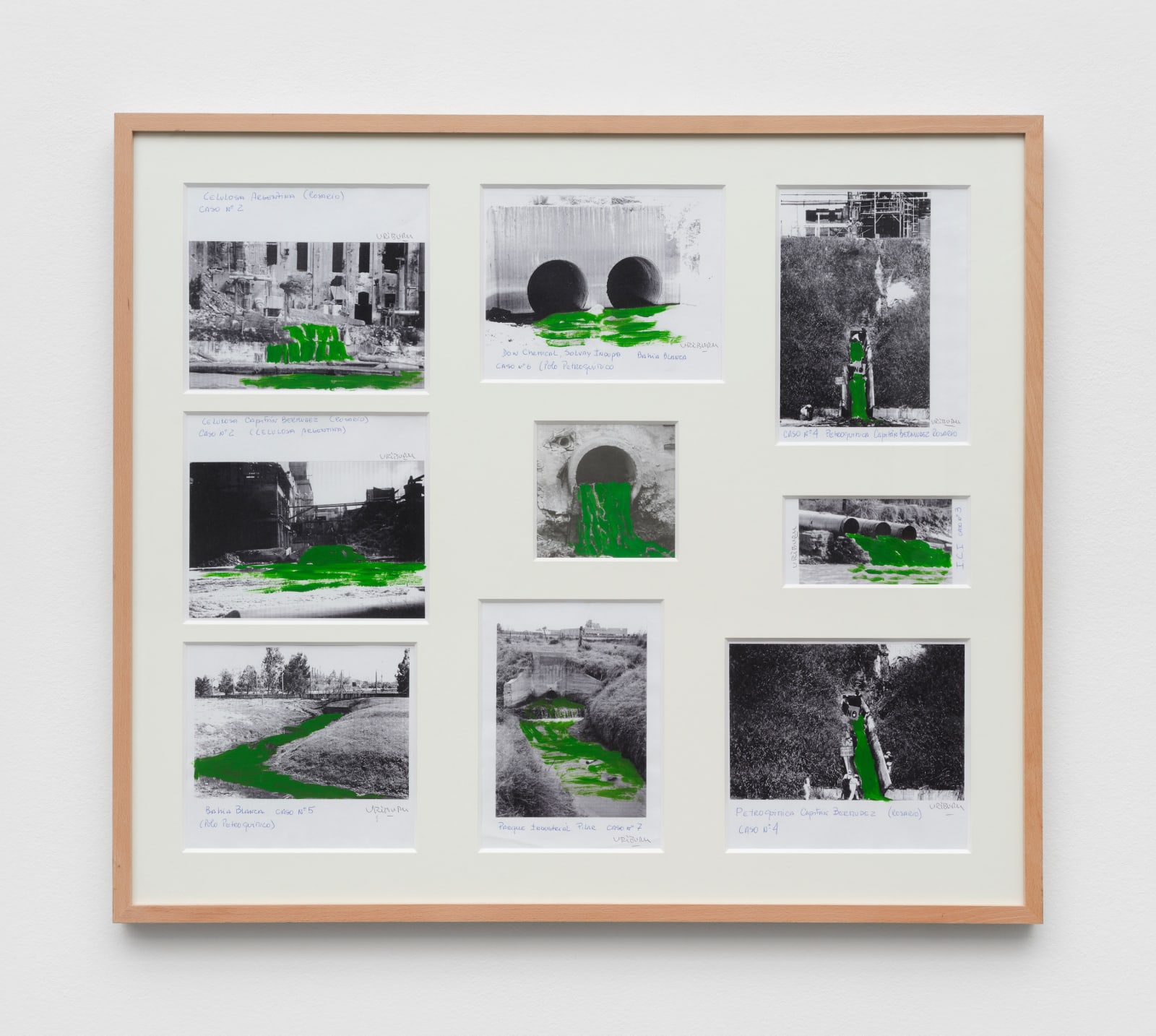 Nicolás García Uriburu, Study for Polluting Companies Sponsor, 2000