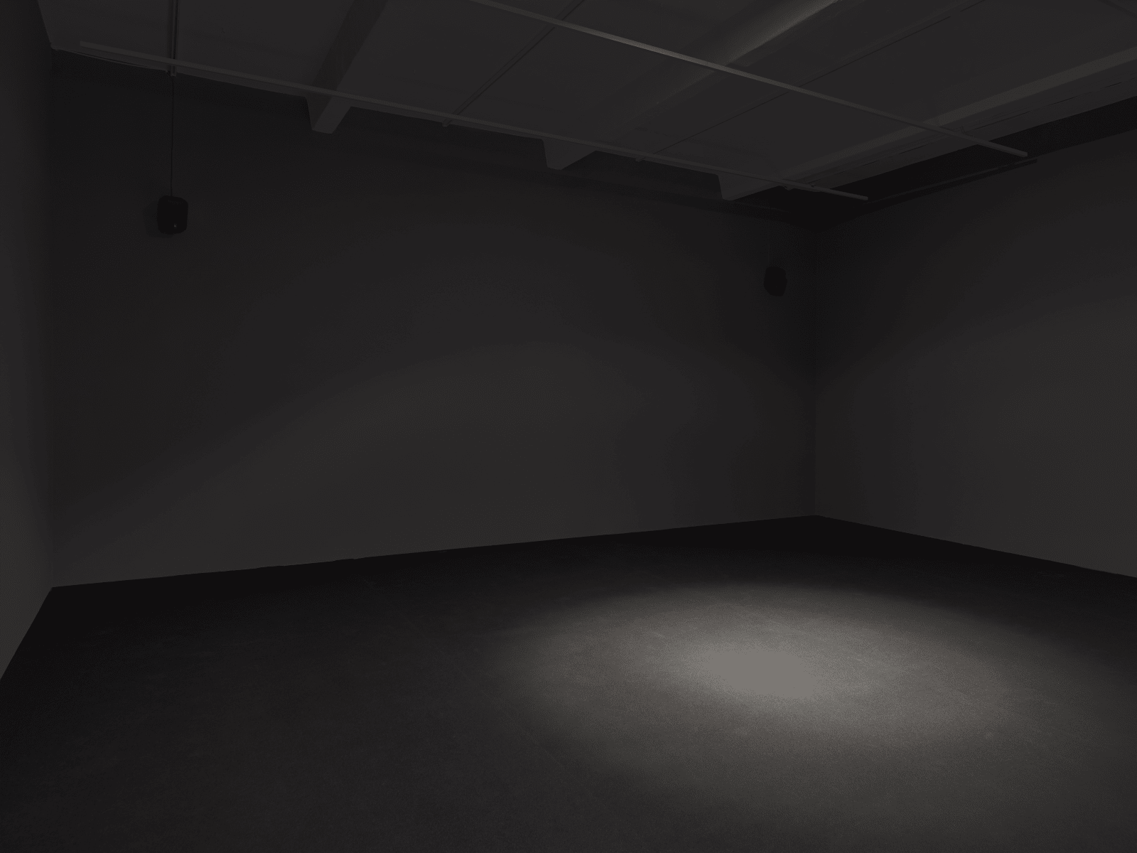 Andrea Crespo, Spectral Spectacular, 2019