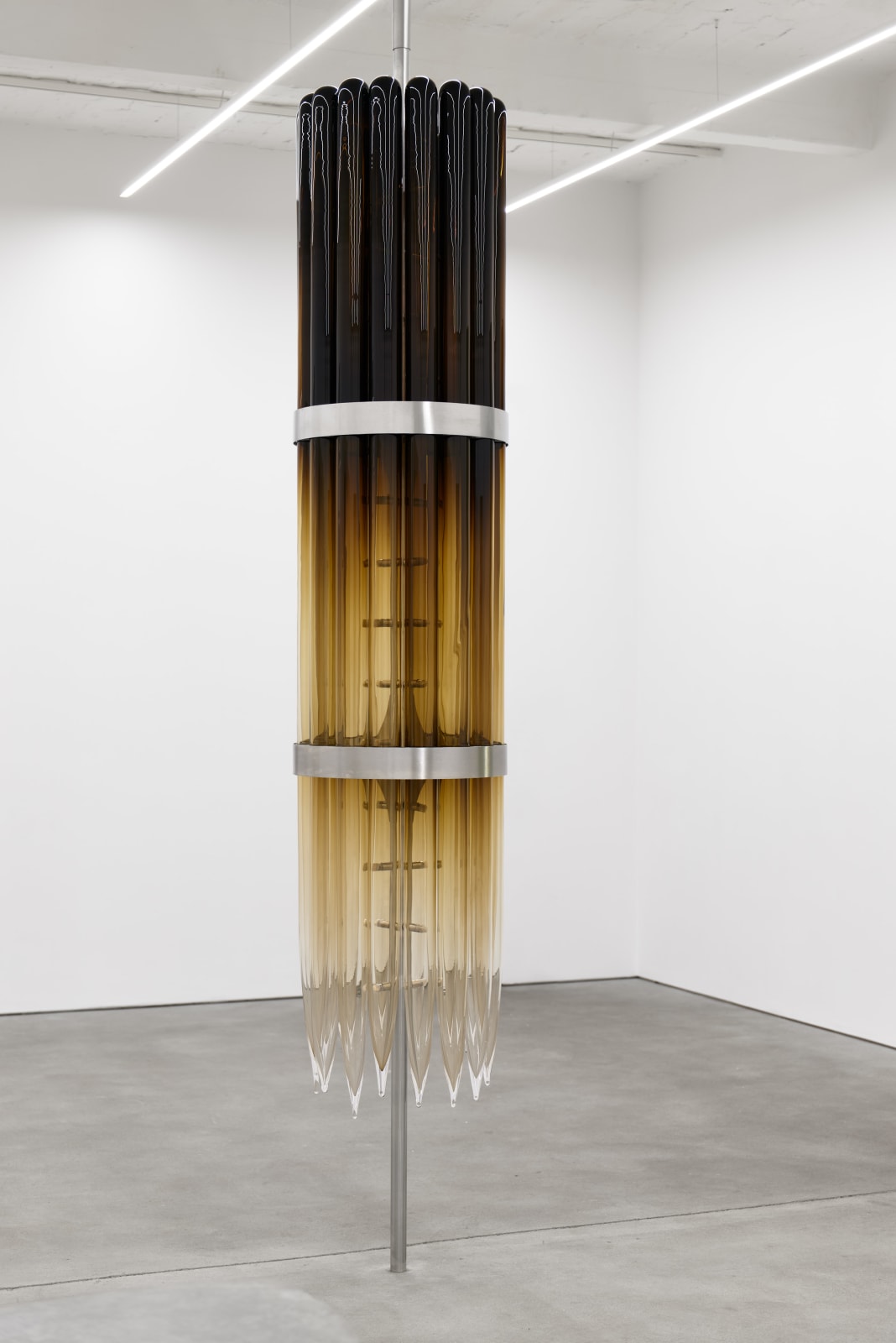 Klára Hosnedlová, Untitled (from the series Nest), 2020