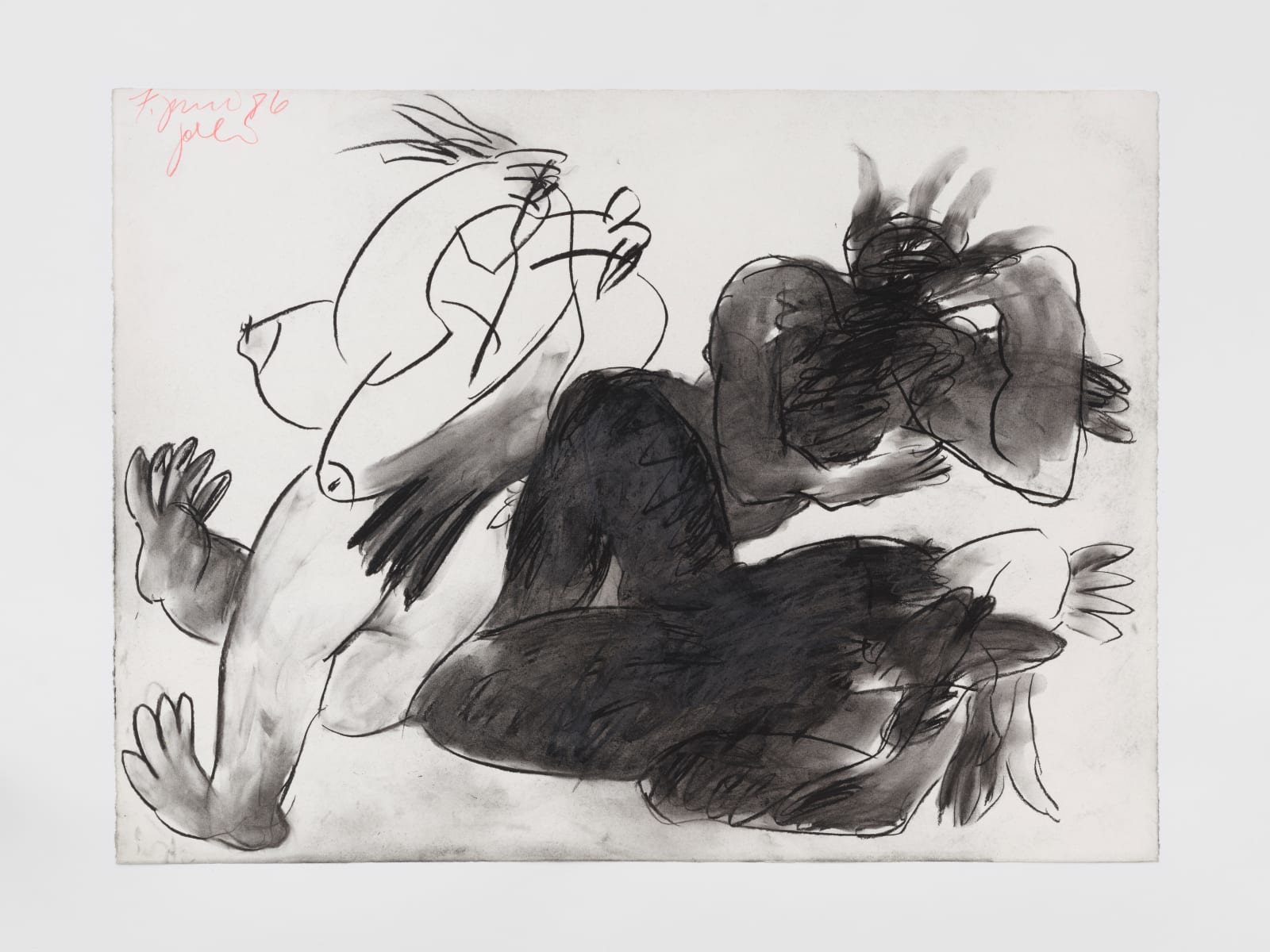 Galli (Anna-Gabriele Müller), Schlachtenseerosen am 8. Juni 1986, 1986