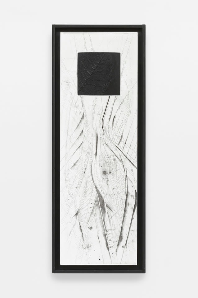 Rim Park, Evanescent #5 (A name appears then fades), 2025