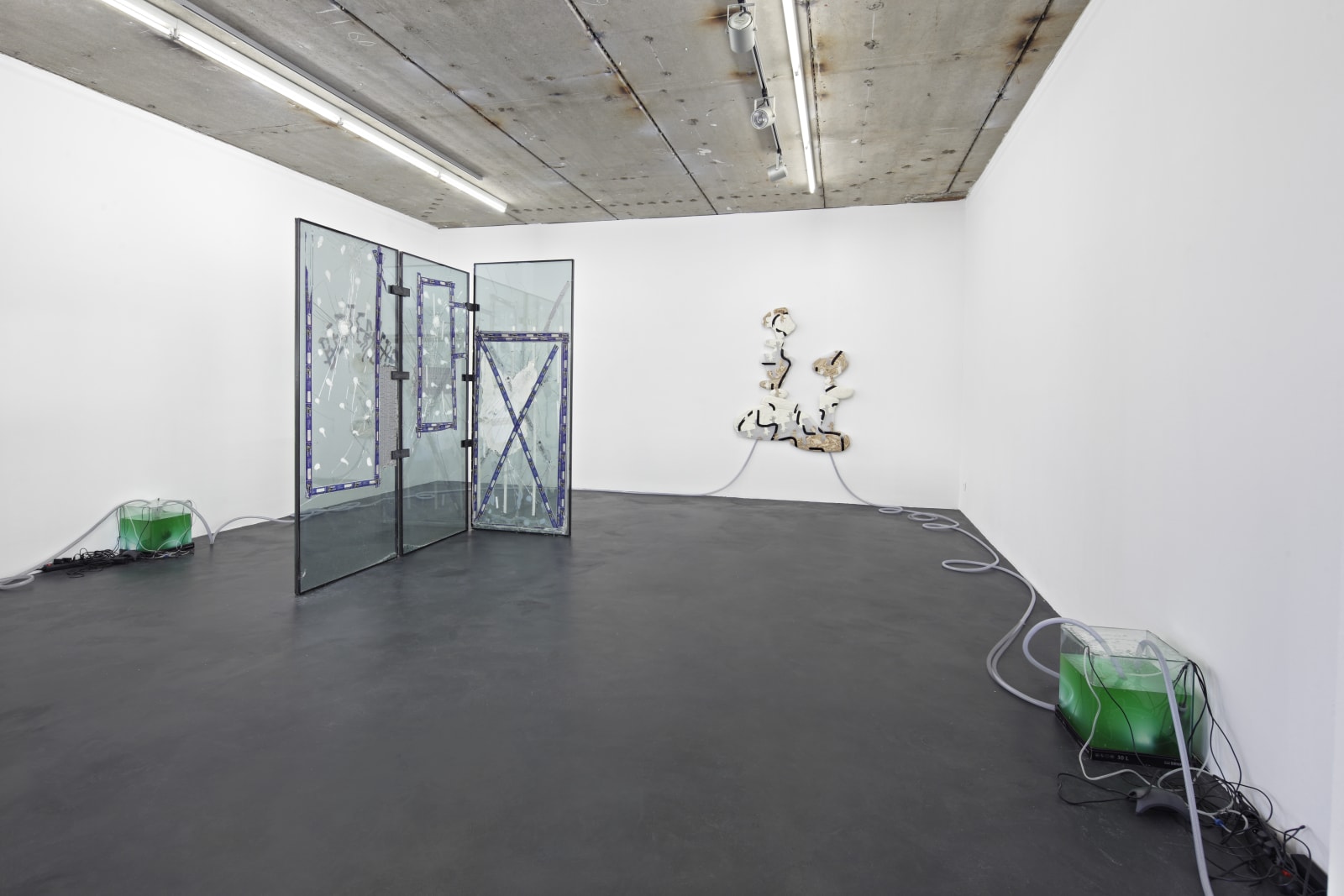 Daniel Keller, Onanet Spiruline 1, 2015