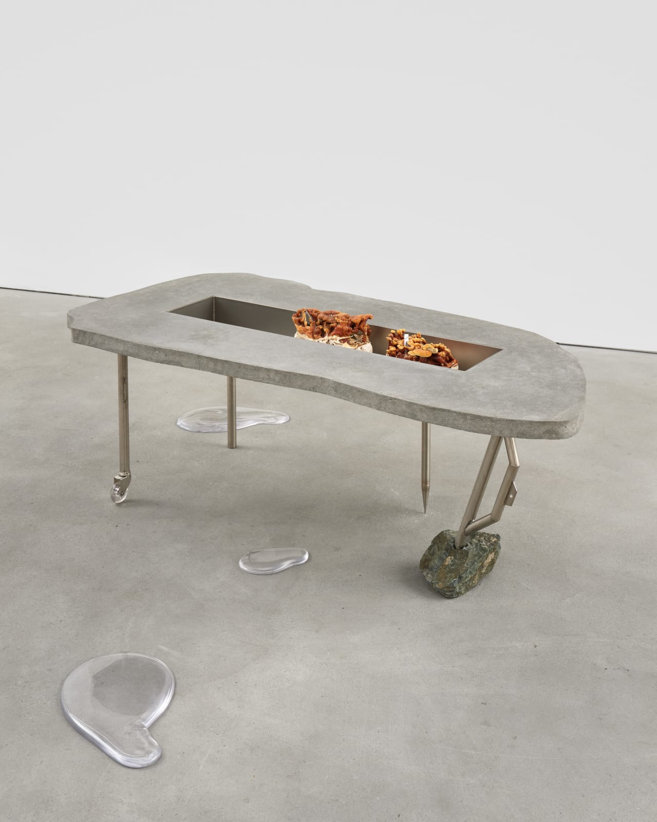 Klára Hosnedlová, Untitled (from the series Nest), 2020