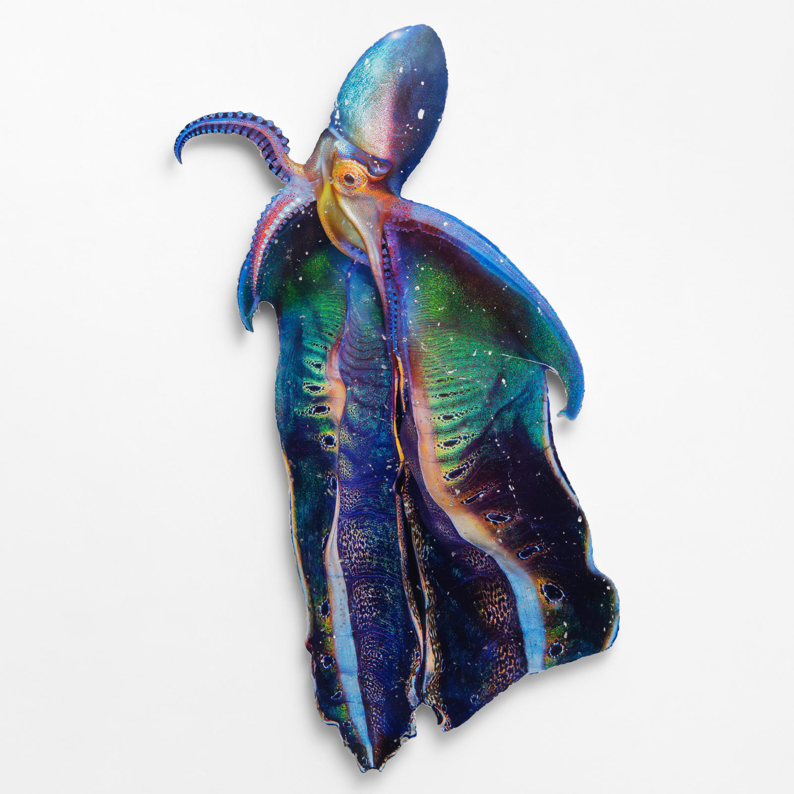 Katja Novitskova, Earthware (mirror octopus 03), 2025