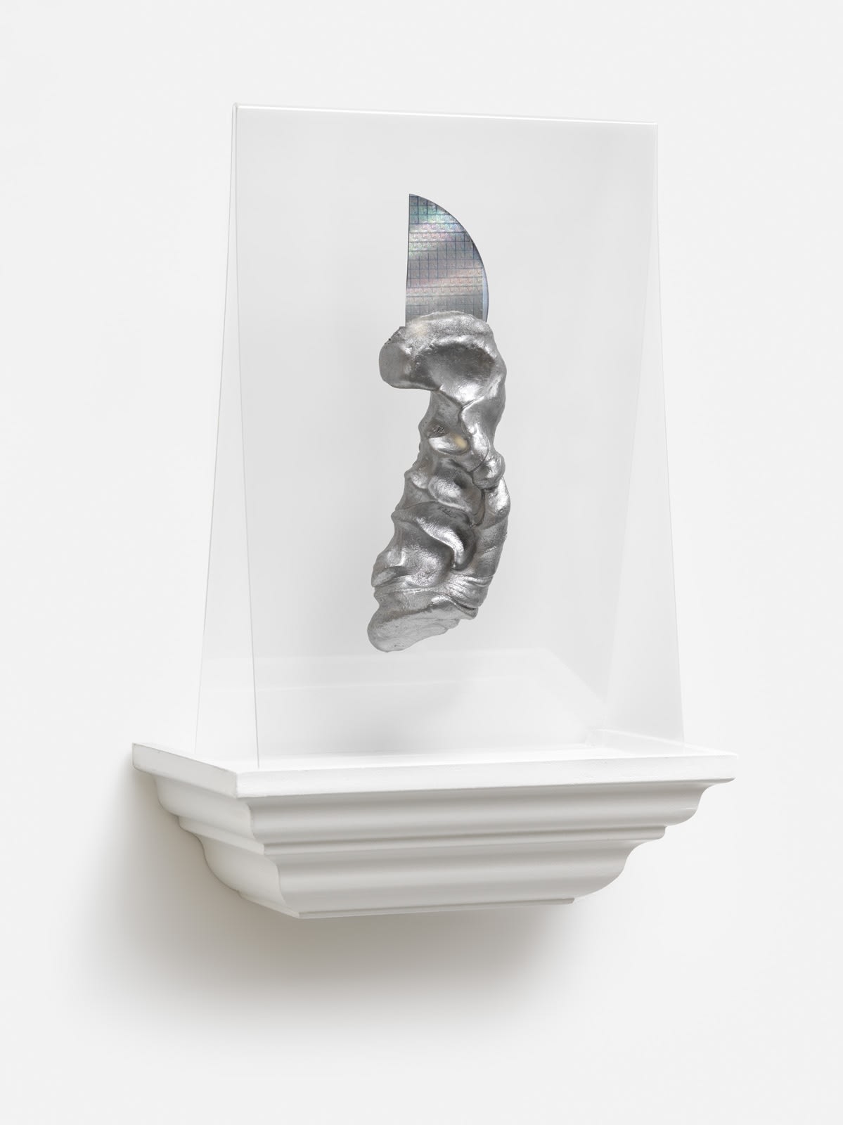 Katja Novitskova, Shapeshifter V, 2013