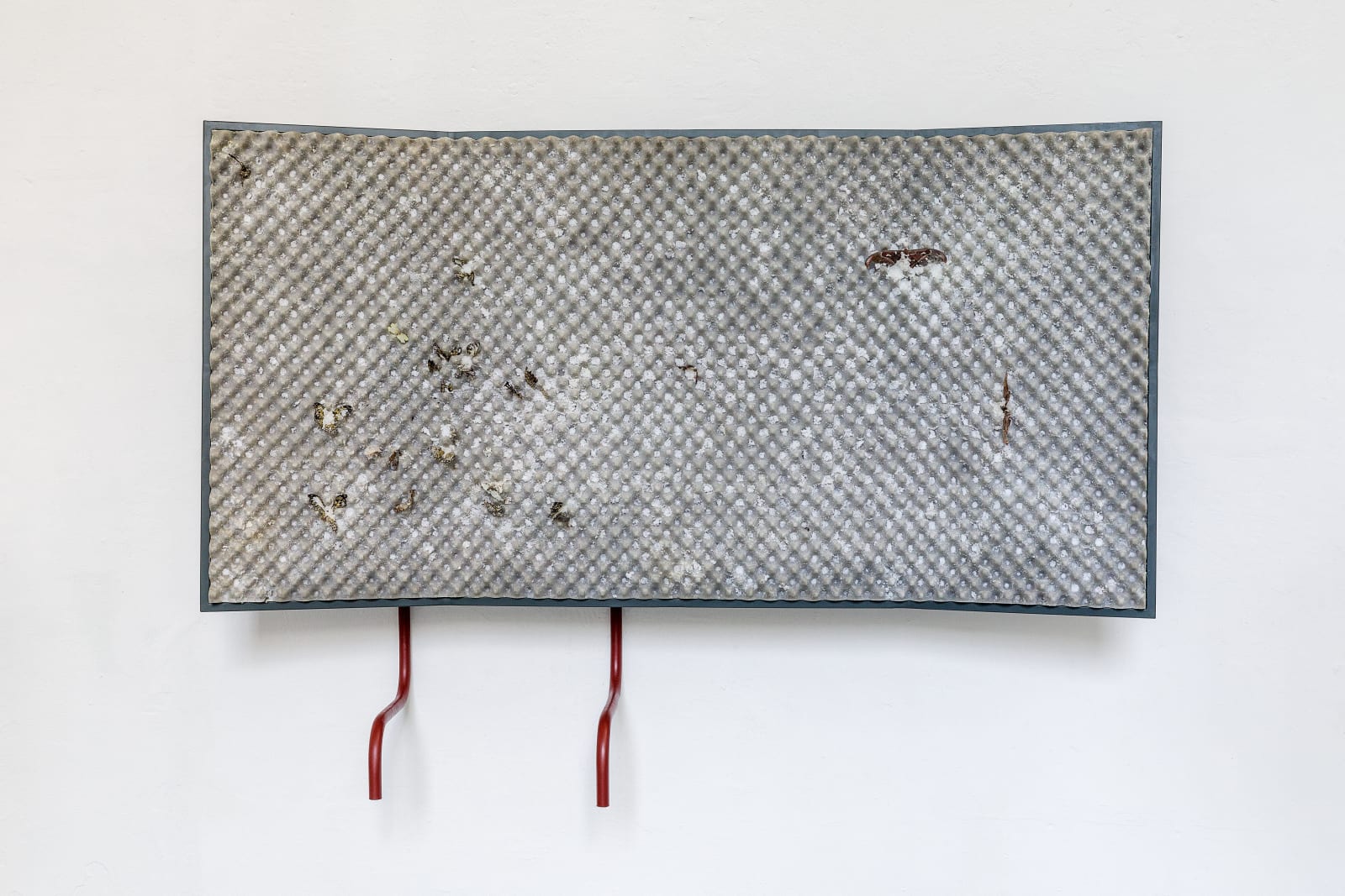 Agata Ingarden - Diplome-8561- HD