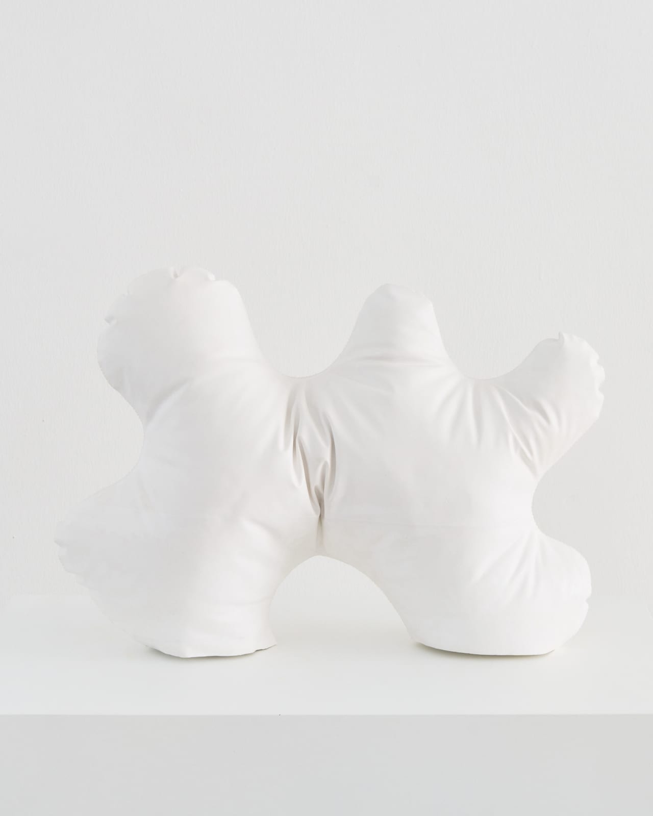 Klaudia Schifferle, Walking Cloud, 2013