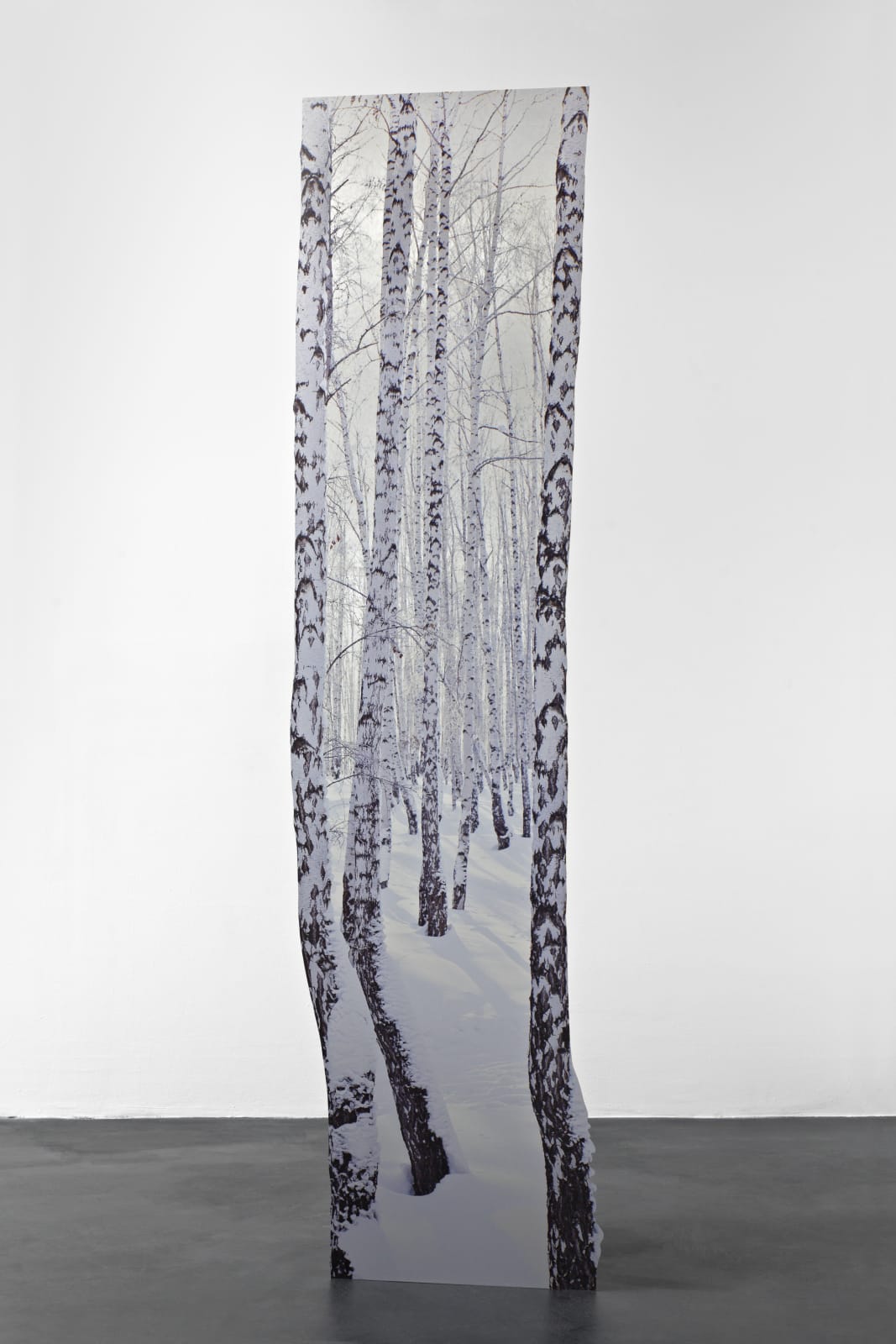 Katja Novitskova, Branching (birches), 2014