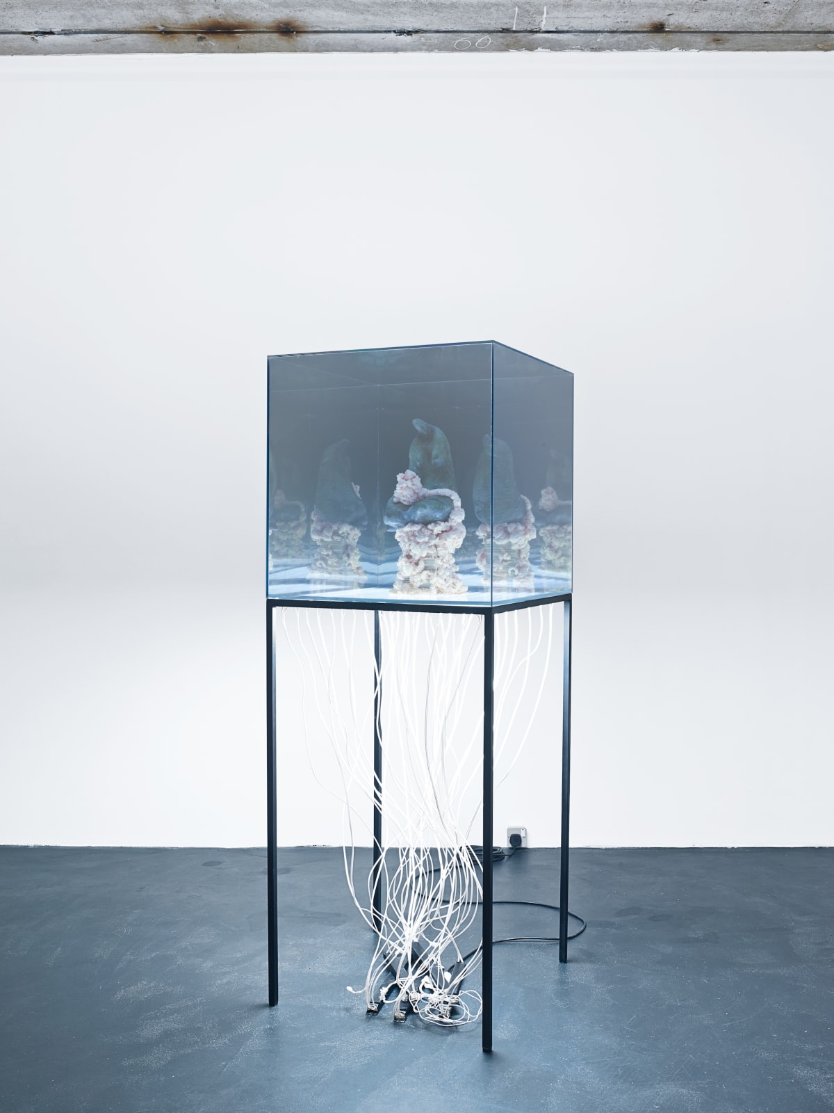 Christopher Kulendran Thomas, From the ongoing work www.when-platitudes-become-form.lk, 2012