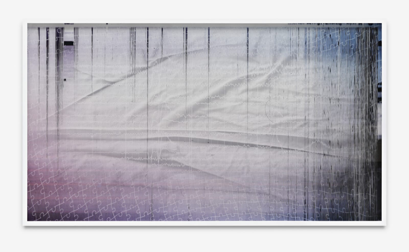 Andrea Crespo, Cryptogenesis, 2015