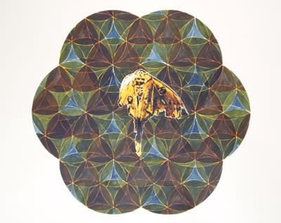 Mat Chivers, Untitled, 2012