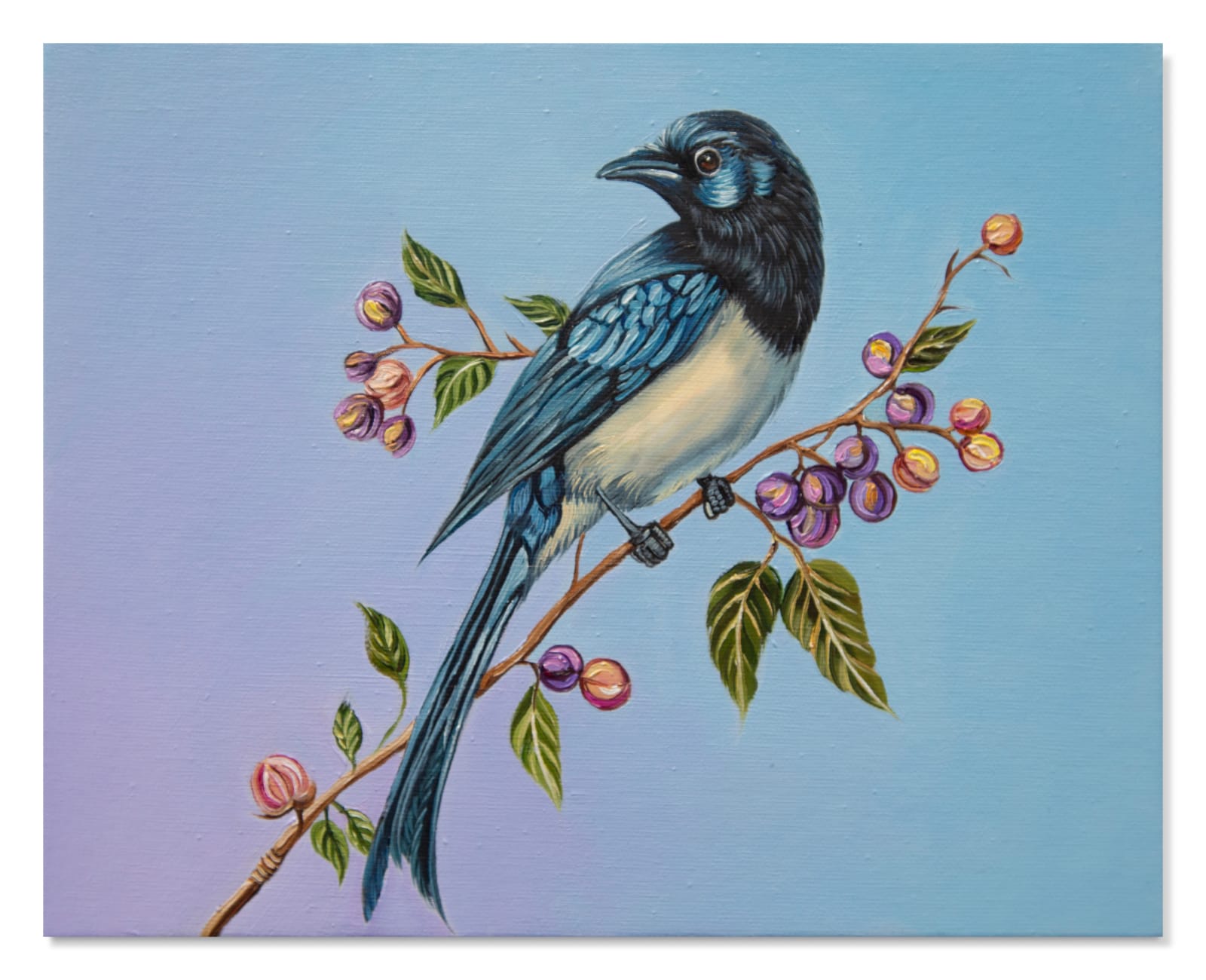 Christina Nicodema, Bird (blue), 2025