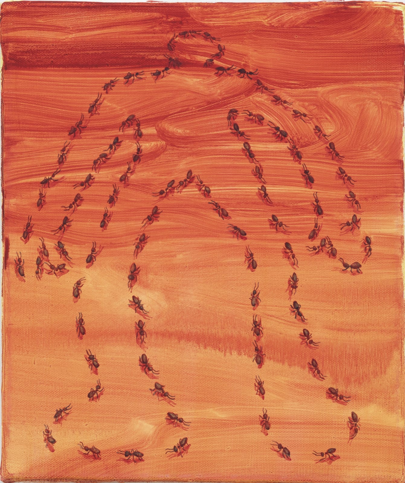 Paula Turmina, Ant trail n.1, 2023