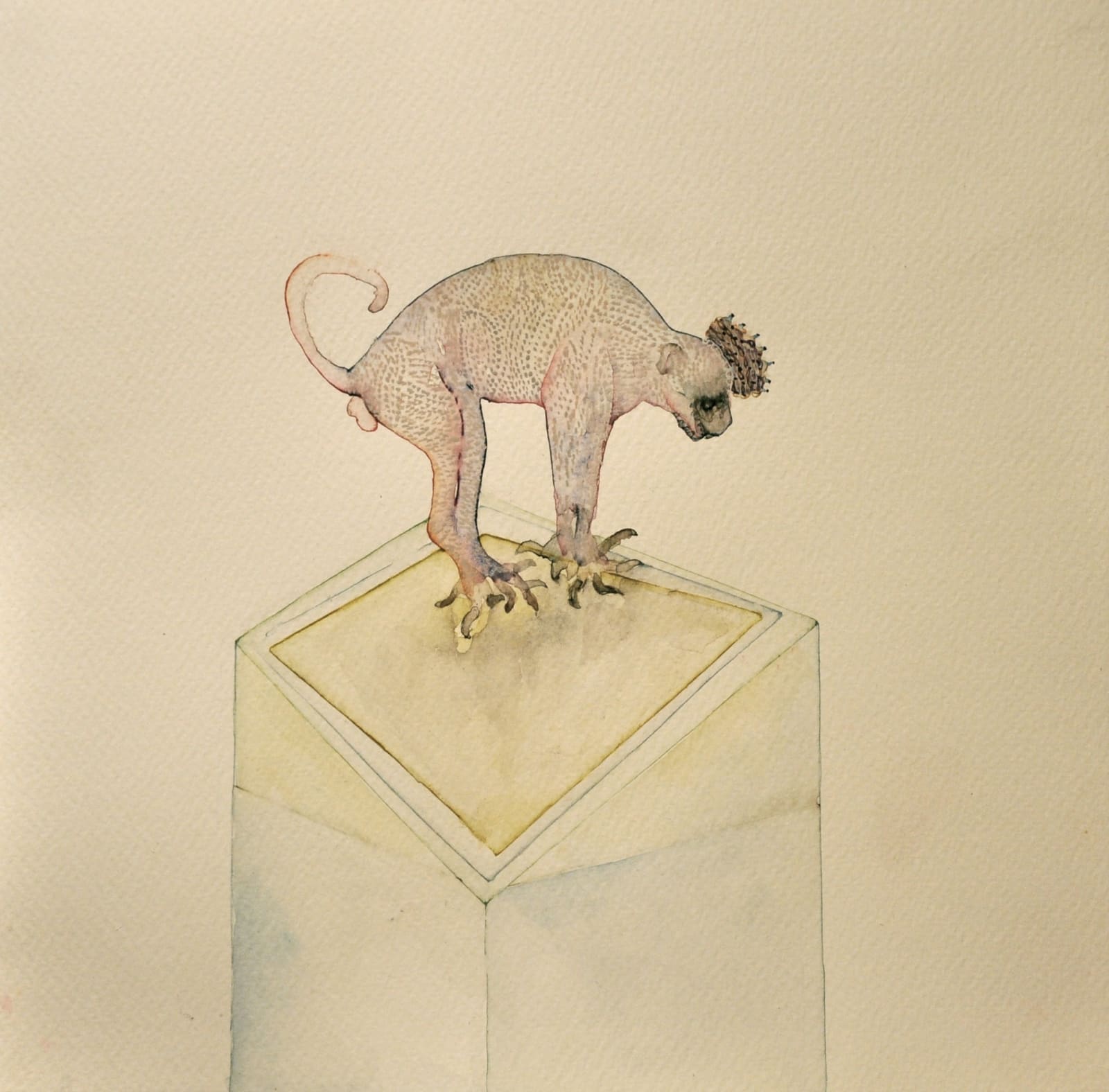 Radhika Agarwala, All Creatures Great and Small No.1, 2012