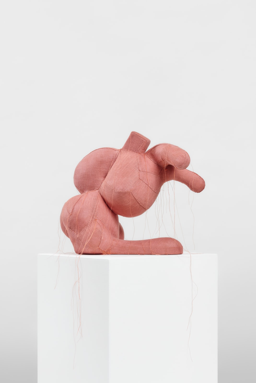 Lauren DiCioccio, Ma Puce, 2018