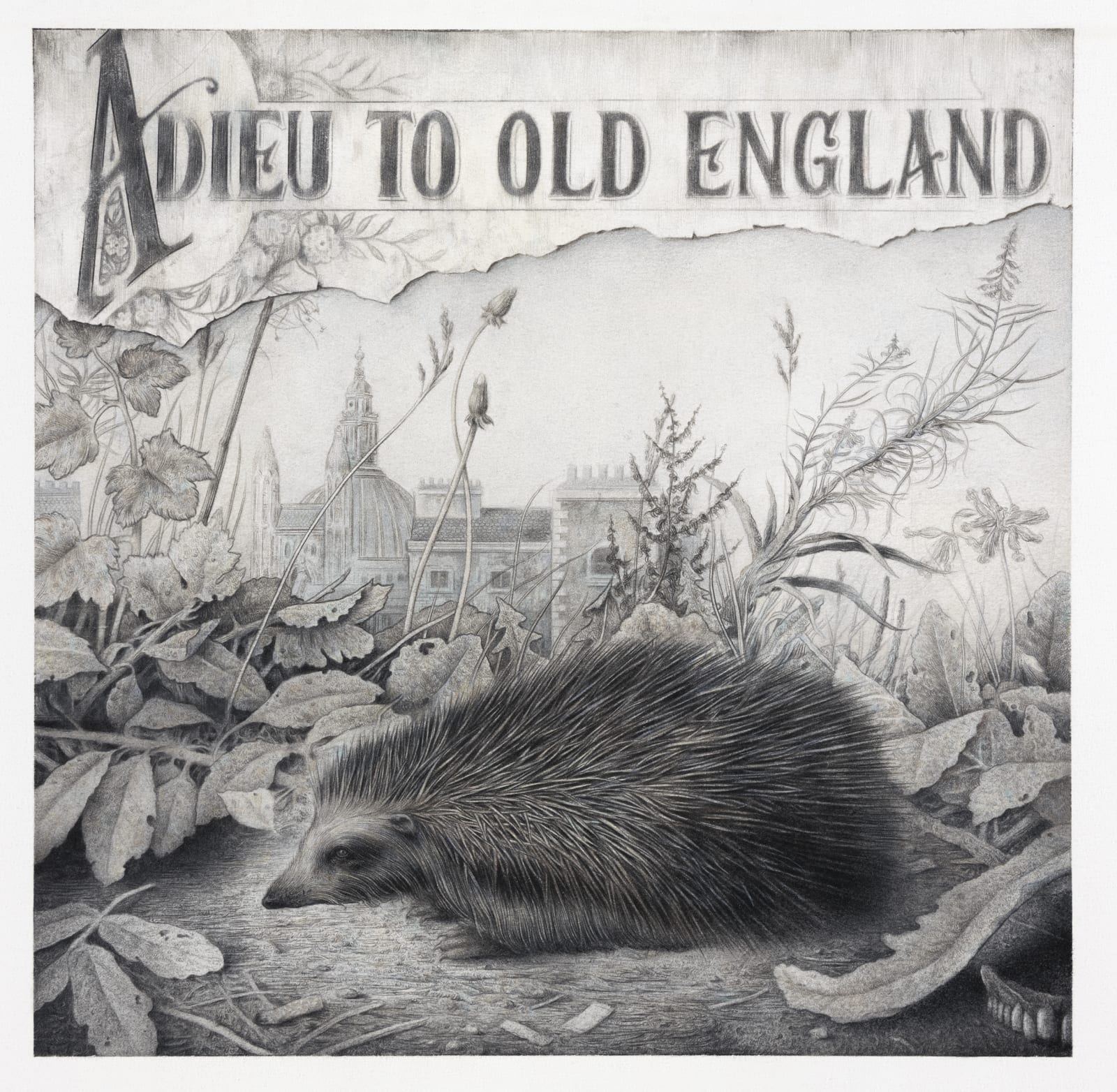 Sverre Malling, Adieu to Old England, 2020