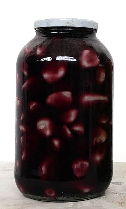 Athar Jaber, Preserved Stones 1, 2021