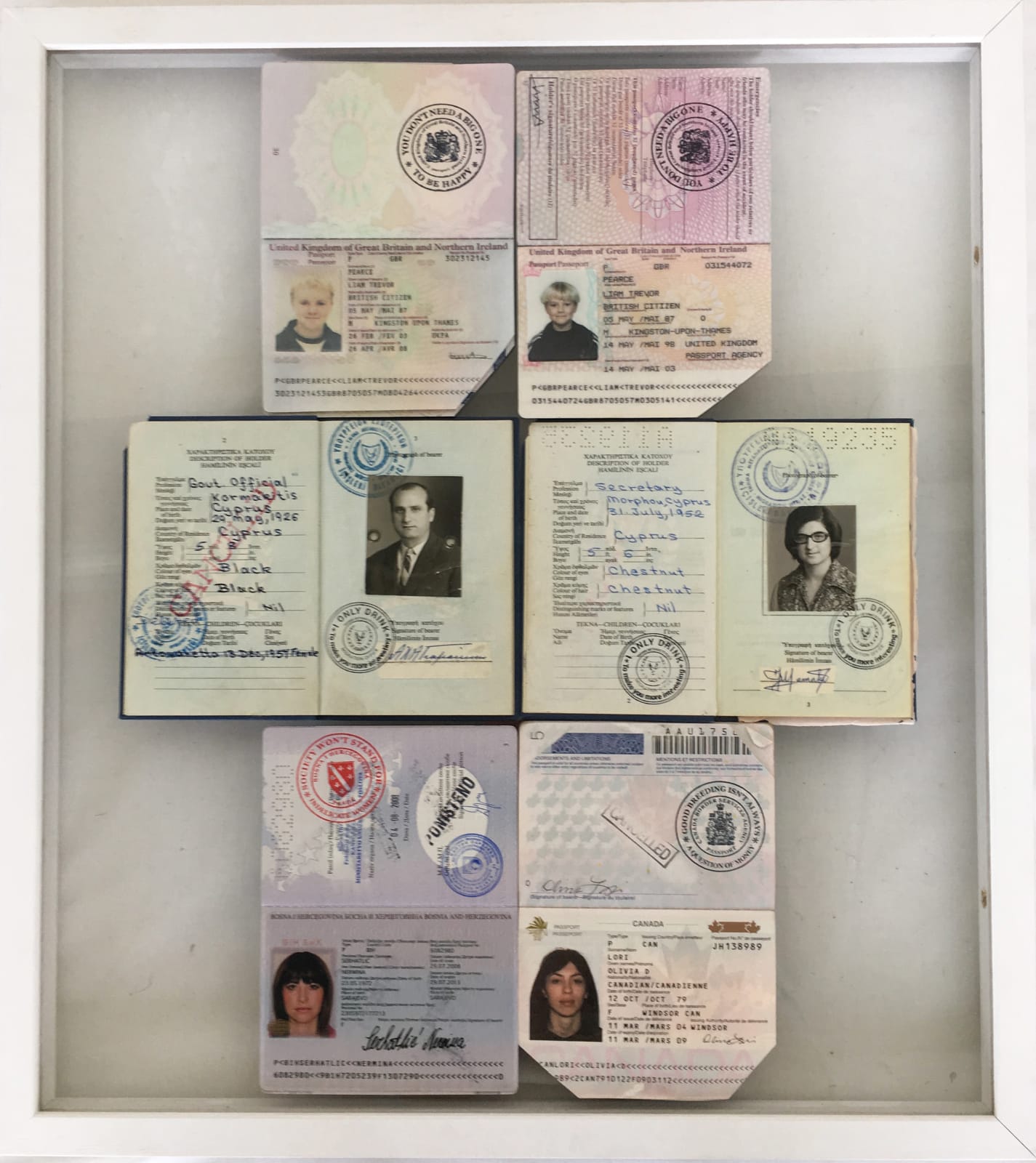 Soheila Sokhanvari, Untitled, 2016