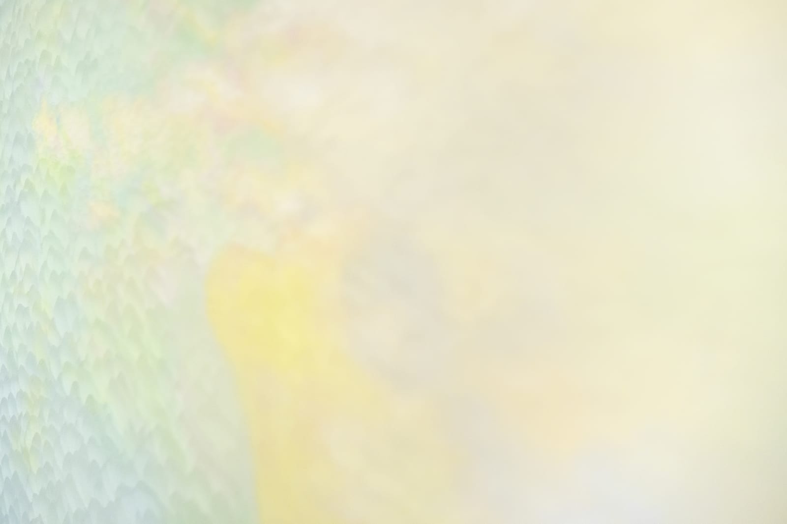 Martine Poppe, Yellow, 2021