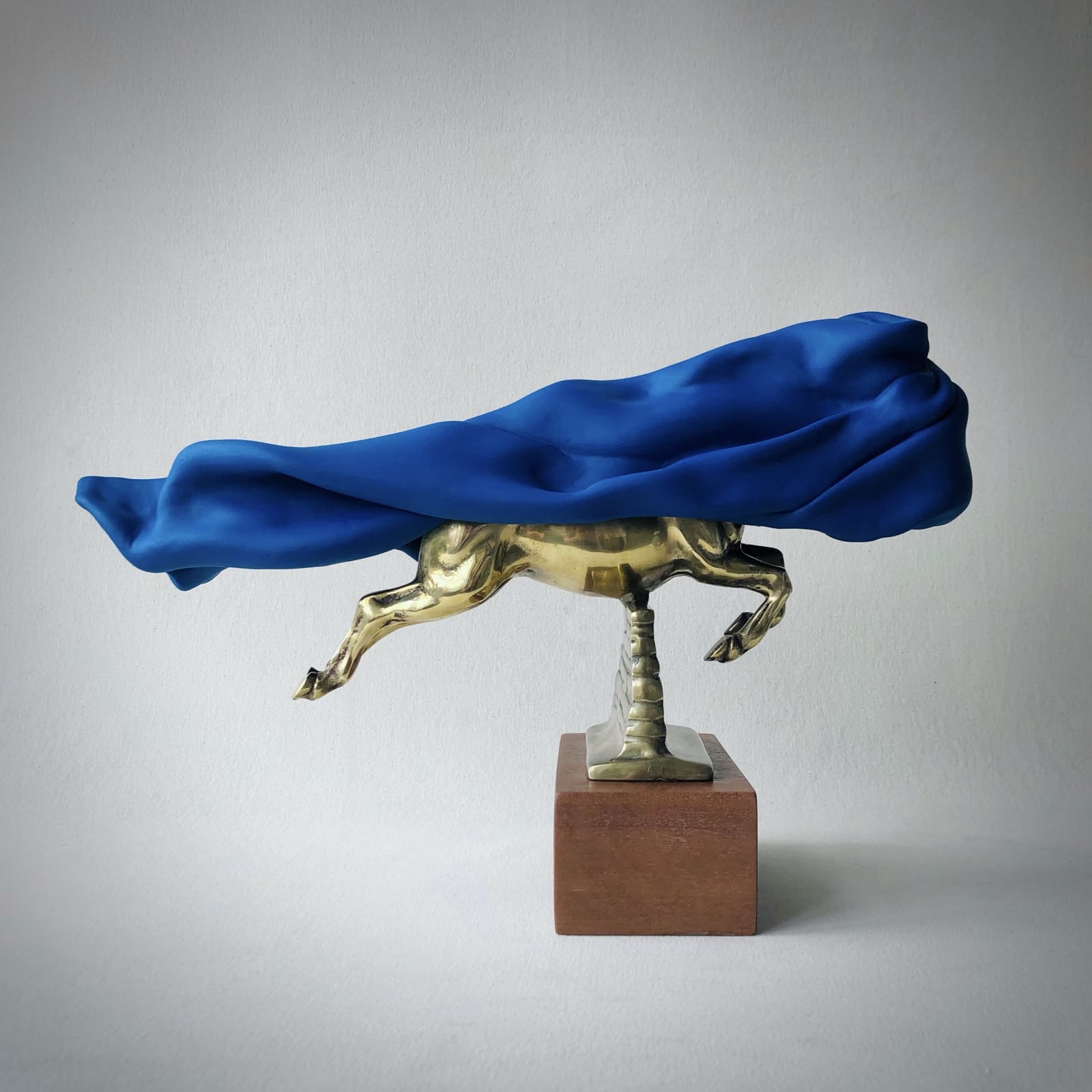 Richard Stone, flying with the knight , 2021