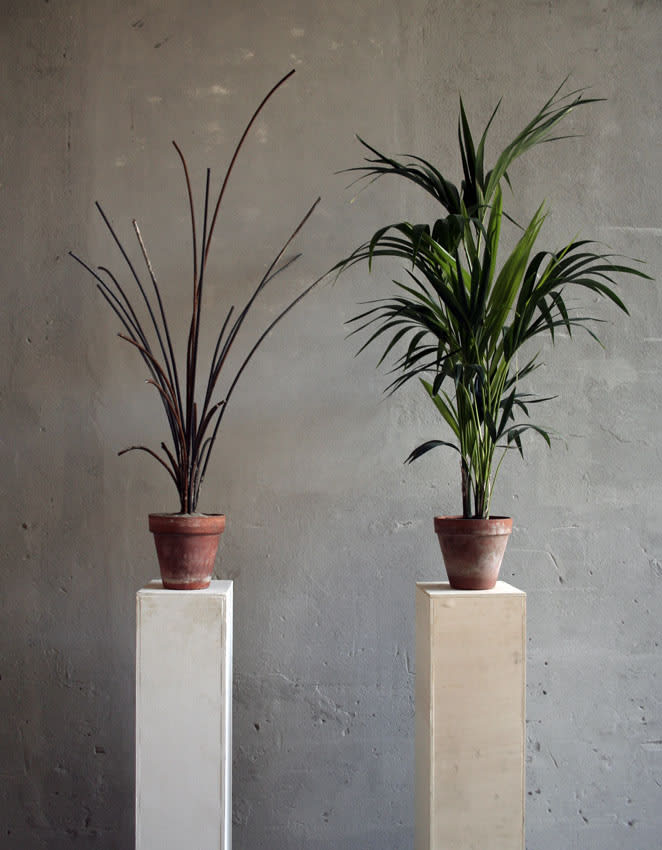 Andrea Francolino, A-Biotic vegetable , 2015
