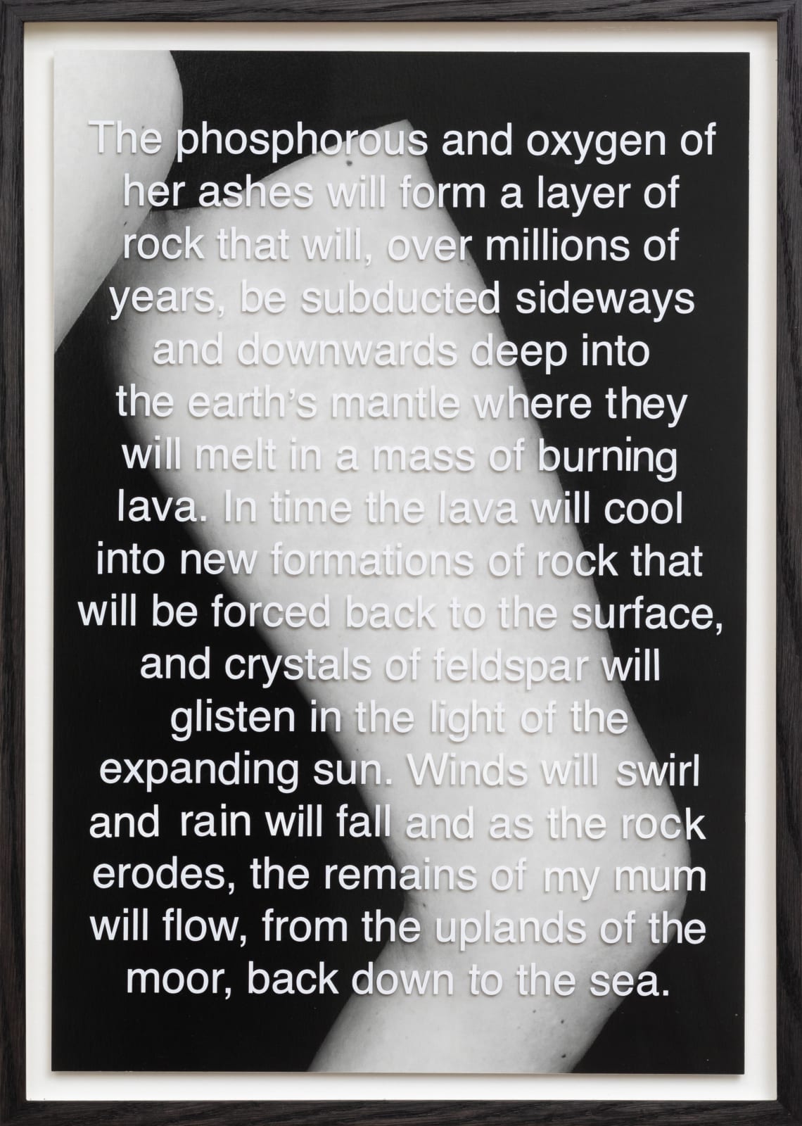 Sophy Rickett, Ashes, 2024