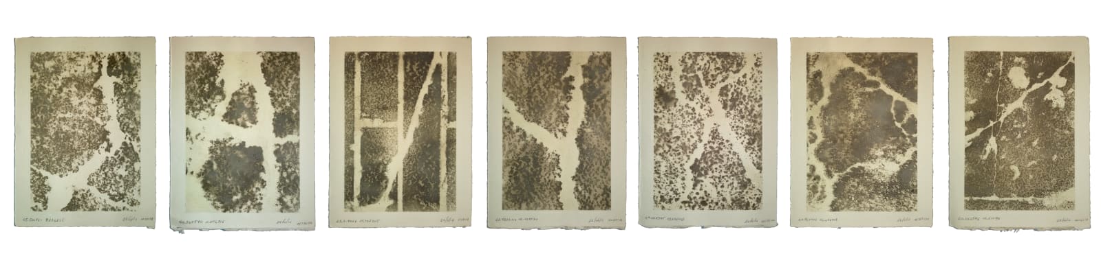Andrea Francolino, From Milano to Matera, 2016