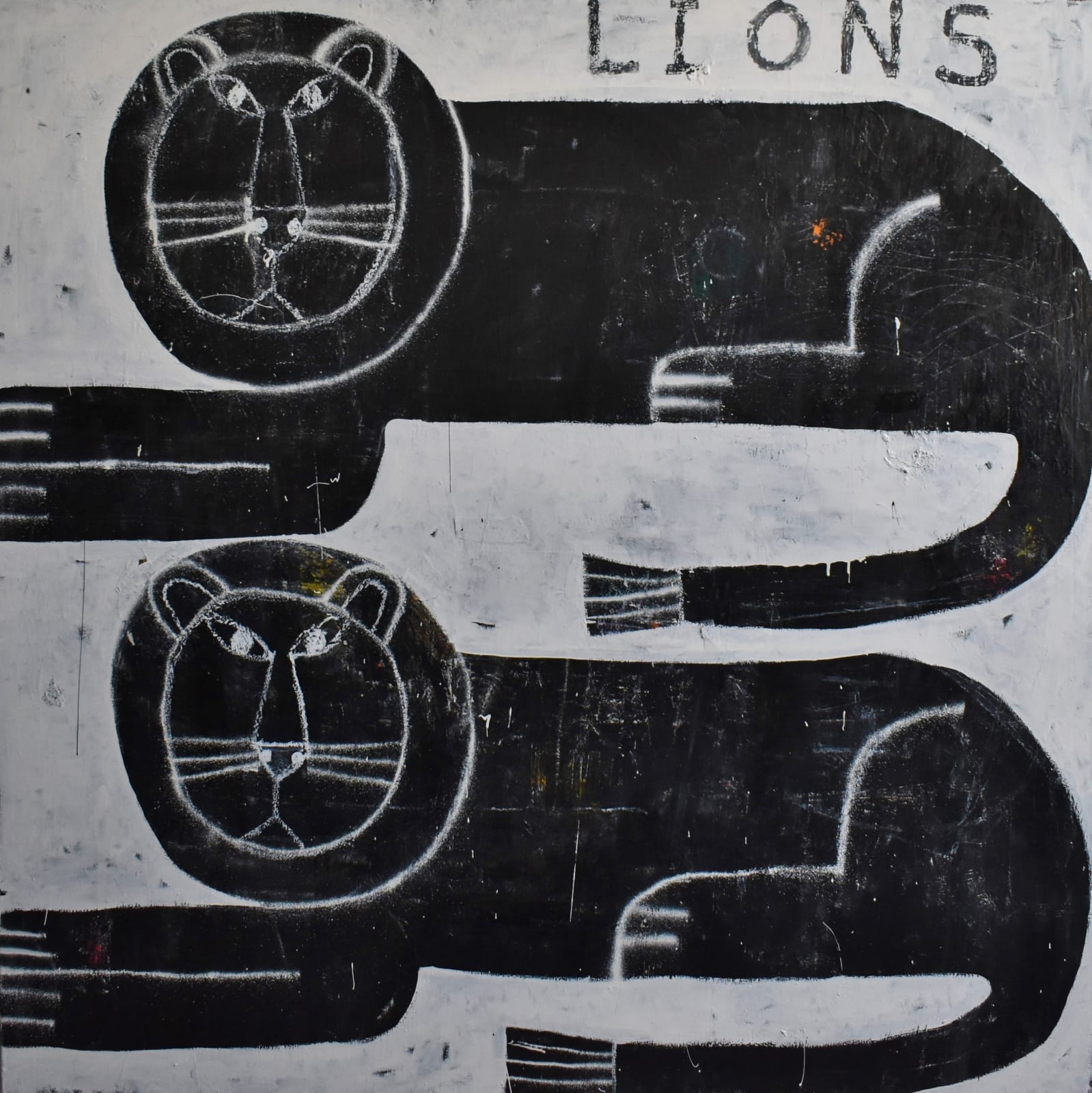 Joachim Lambrechts, Lions, 2021