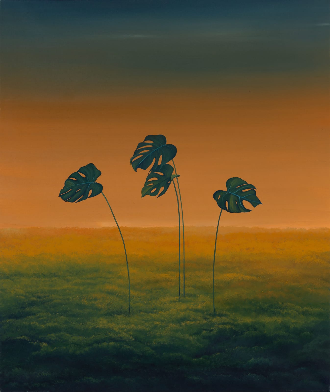Houda Terjuman, Behind their tears, 2021