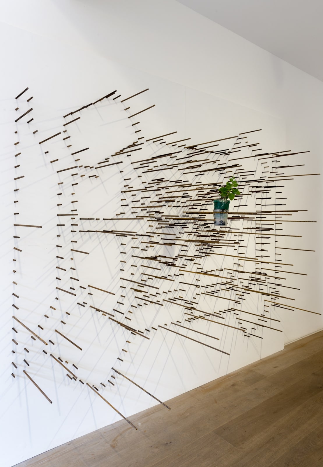 Andrea Francolino, A-Biotic, 2014