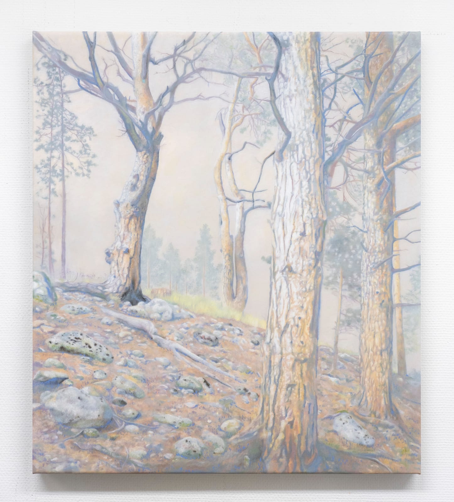 Martine Poppe, On the back of the North wind, 2025