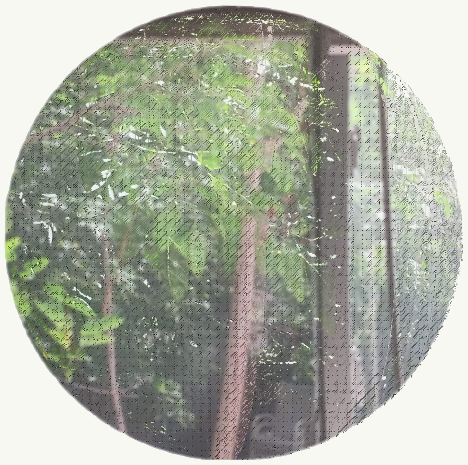 Caroline Jane Harris, Portal I, 2021