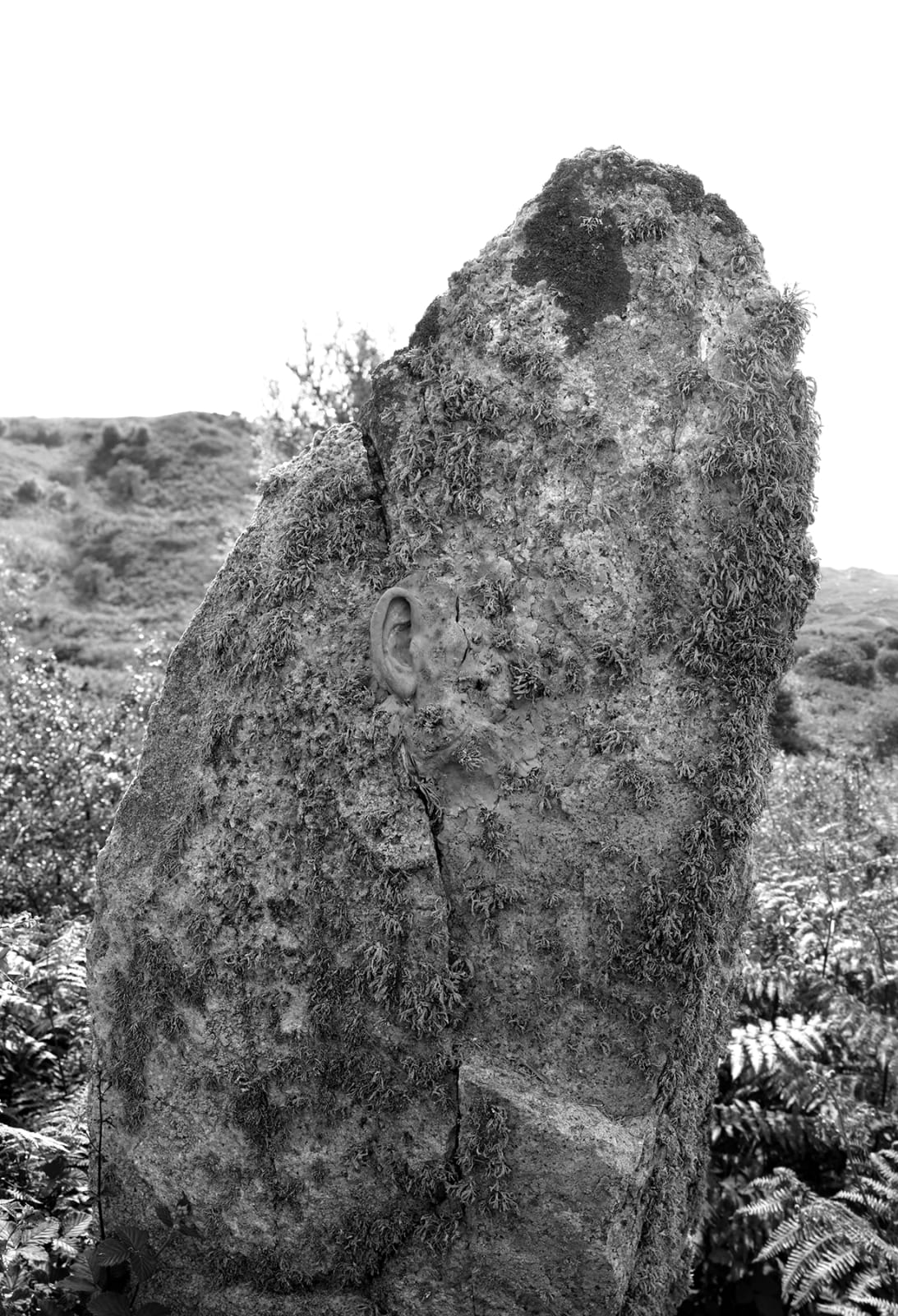 Jonny Briggs, The Uncarved Block (ear grafted onto neolithic menhir), 2017