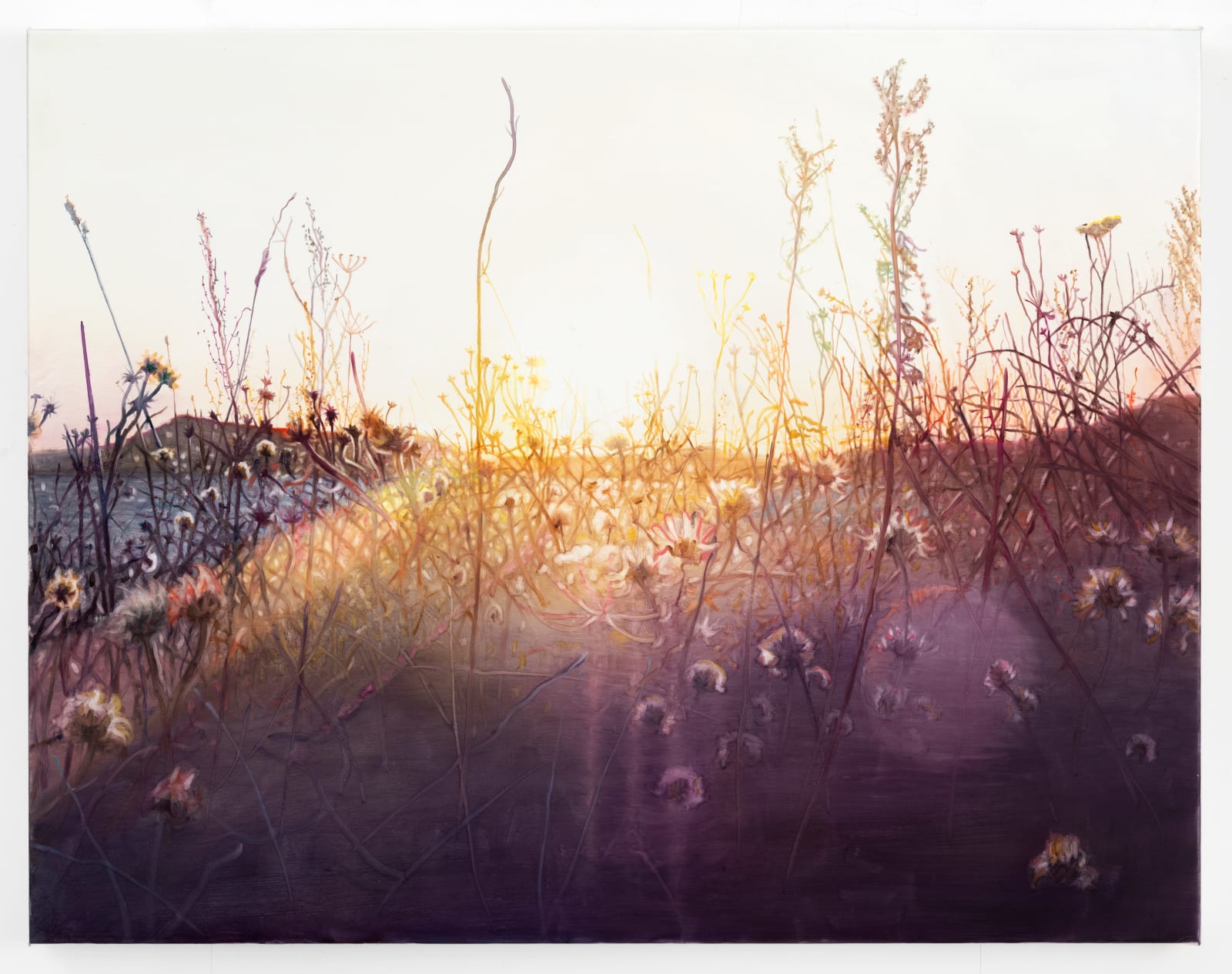 Vibeke Slyngstad, Sønstegård XX, 2025