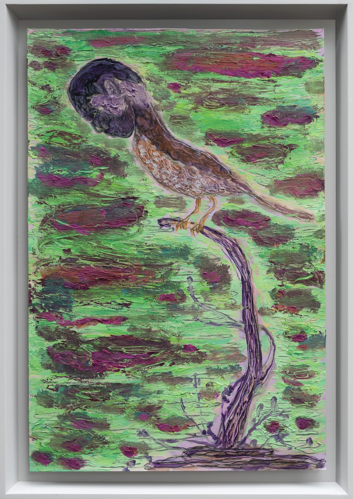 Grgur Akrap, Birdwatcher, 2025